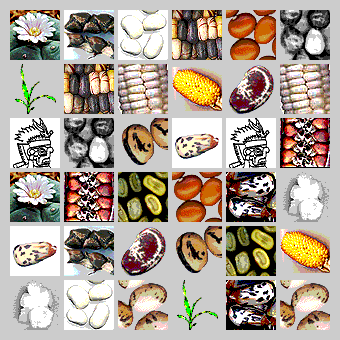 ANHALONIUM Lebens-Qualit&auml;t